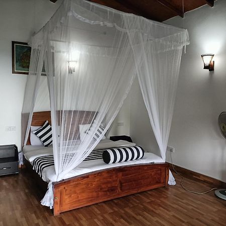 Divine View Homestay Ella Εξωτερικό φωτογραφία