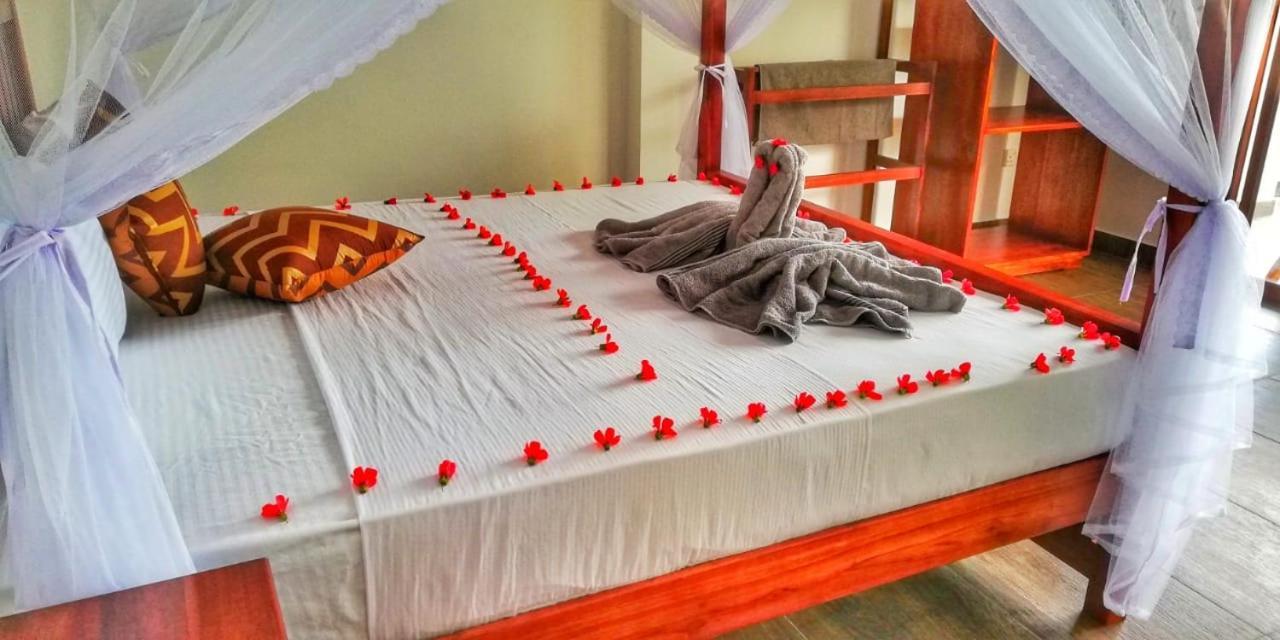Divine View Homestay Ella Εξωτερικό φωτογραφία
